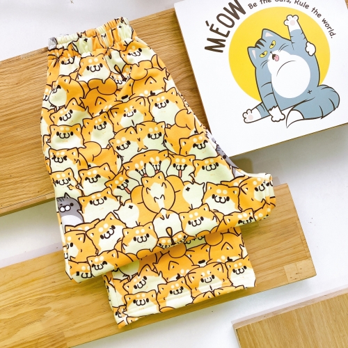 shiba chồng lớp