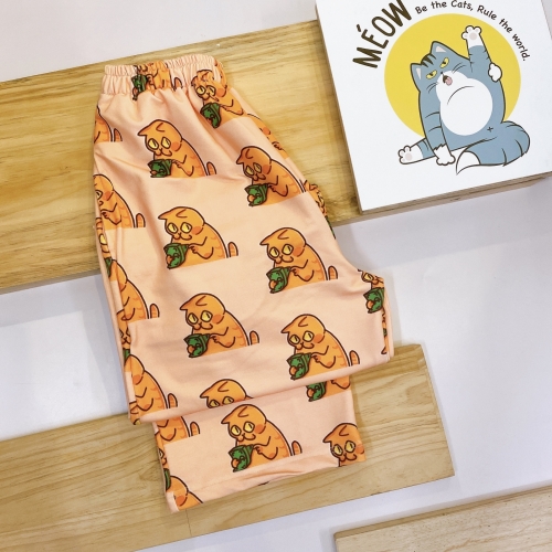 mèo cam đếm tiền 